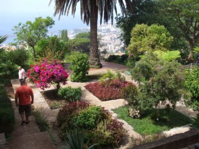 Madeira: Botanical Garden in a Tuk-Tuk Tour - The hill drive: getting Funchal views fast (and what to watch)
