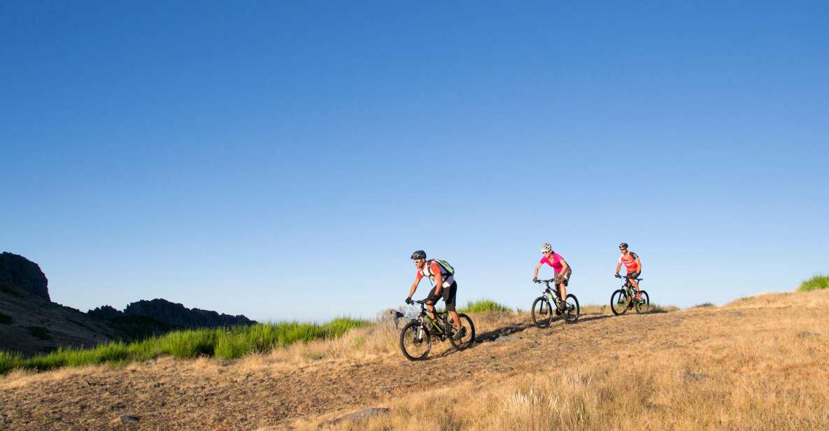Madeira Botanical Levels Bike Tour – Scenic Trail Experience - Key points that matter on this Madeira ride