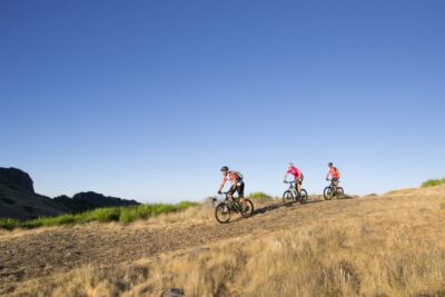 Madeira Botanical Levels Bike Tour – Scenic Trail Experience - Forest single tracks vs Levada roads: two ways to enjoy the same descent