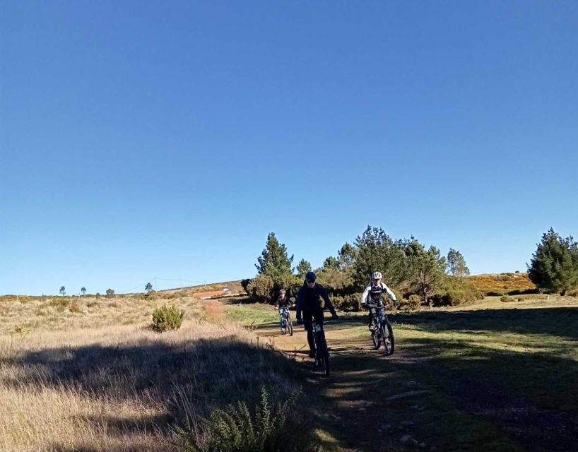 Madeira Botanical Levels Bike Tour – Scenic Trail Experience - Bikes and gear: the Transition Sentinel Alloy GX setup is part of the value