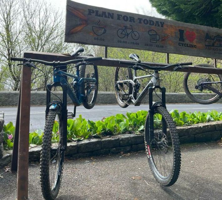 Madeira Botanical Levels Bike Tour – Scenic Trail Experience - Timing, distance, and pacing: why 4.5 hours feels like a full day