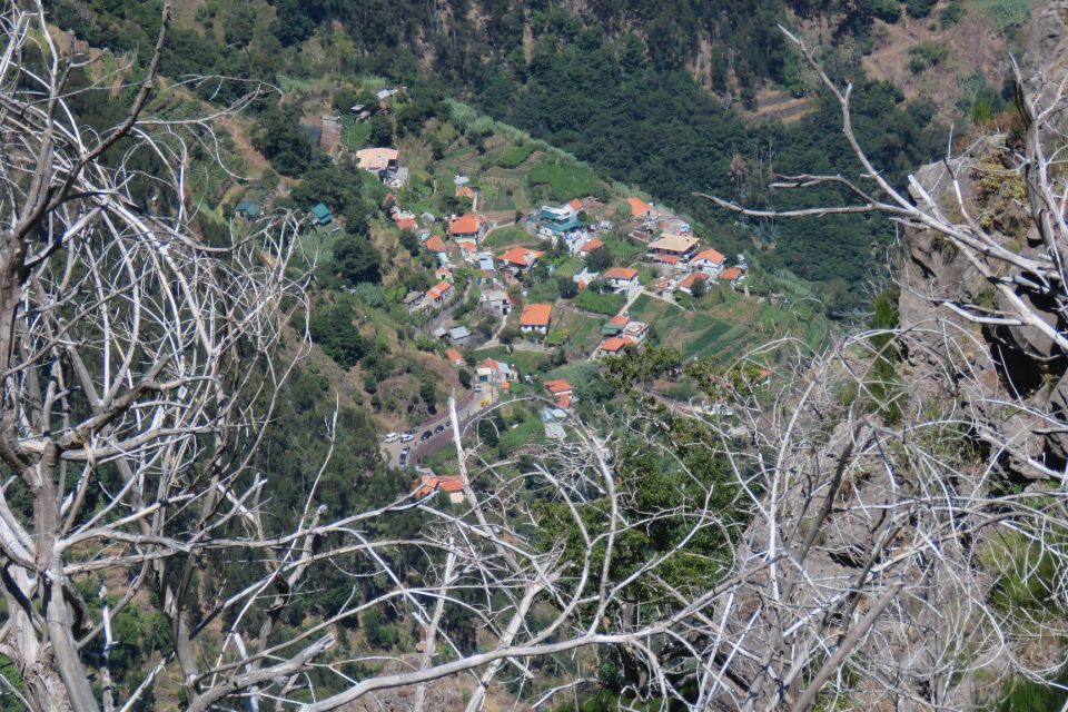 Madeira : Cabo Girao and Camara de Lobo 4WD half-day Tour - Should You Book This Cabo Girão + Câmara de Lobos 4WD Tour?