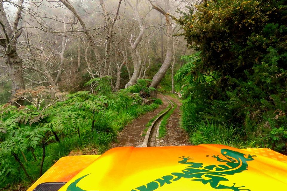 Madeira : Cabo Girao and Camara de Lobo 4WD half-day Tour - Guides and Language: What to Expect on the Day