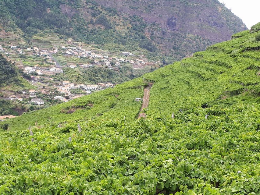 Madeira: Cabo Girão, Wine Tasting, & Serra d'Água Jeep Tour - From Serra d’Água to São Vicente: Viewpoints, Terraces, and Road Time