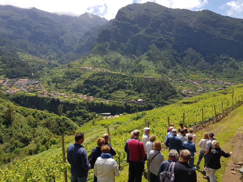 Madeira: Cabo Girão, Wines Experience and Dolphins Watching - What I’d Watch For Before You Book