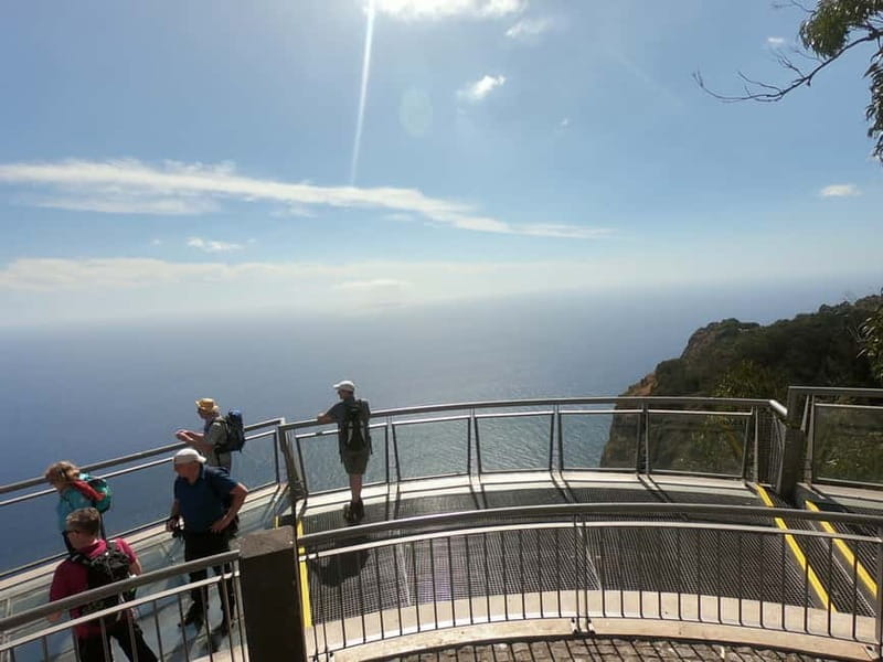 Madeira: Cabo Girão, Wines Experience and Dolphins Watching - Cabo Girão: Europe’s High Sea Cliff and the Suspended Glass Platform