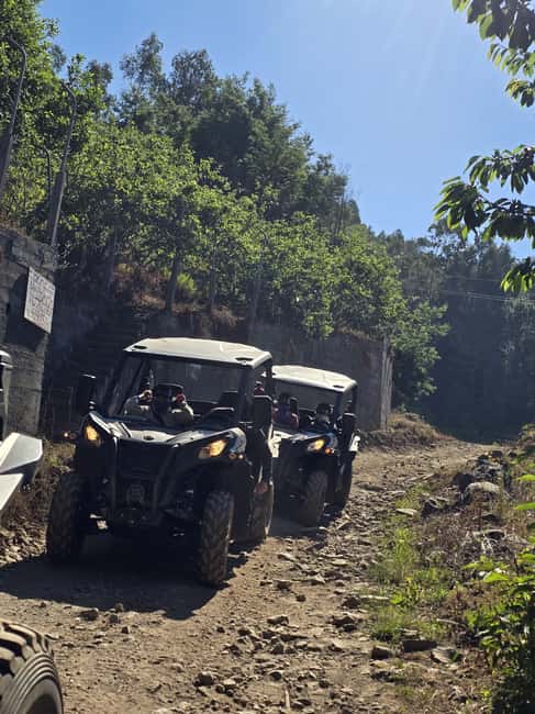Madeira: Can-Am Off-Road Buggy Guided Adventure - Key Things I’d Prioritize Before You Go