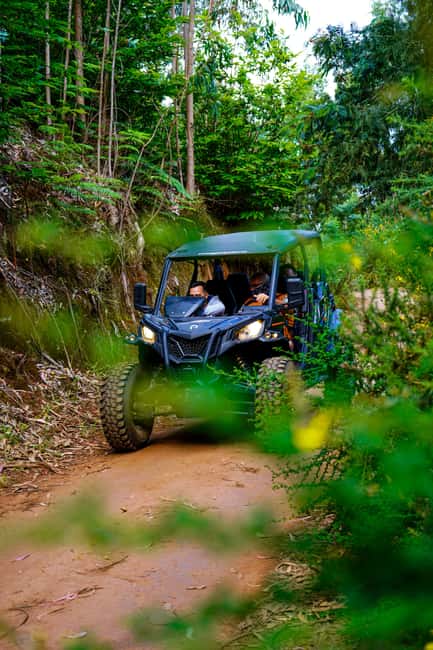 Madeira: Can-Am Off-Road Buggy Guided Adventure - The Poncha Finish: A Local Break That Feels Like Part of the Day