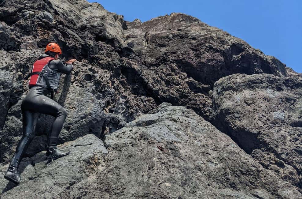 Madeira Coasteering and Cliff Jumping Thrill & Adventure - Why Garajau Coasteering in Madeira Feels More Authentic Than a Drive-By Tour