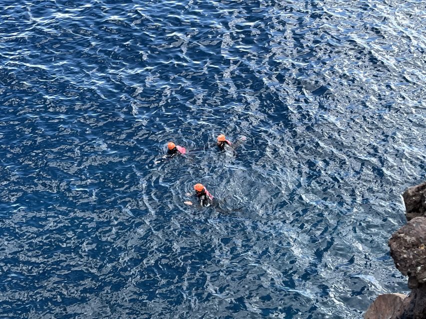 Madeira Coasteering and Cliff Jumping Thrill & Adventure - Quick Planning Tips That Make the Day Smoother