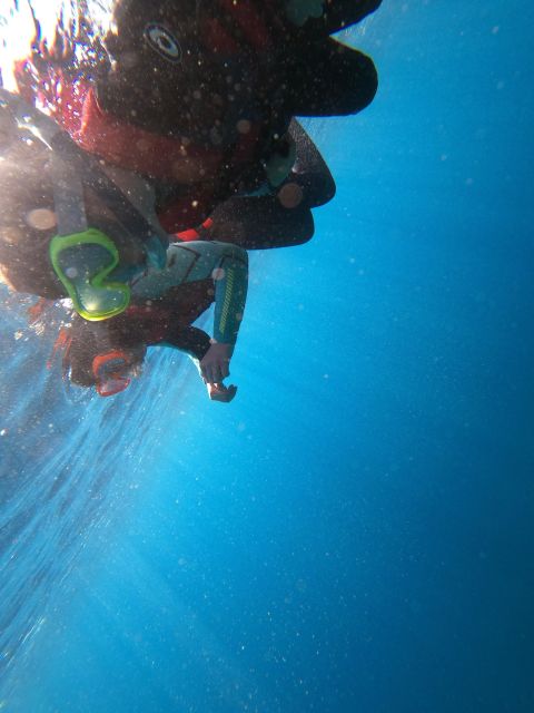 Madeira: Coasteering Tour - The jump choices (1 to 15 meters): how to pick your comfort level