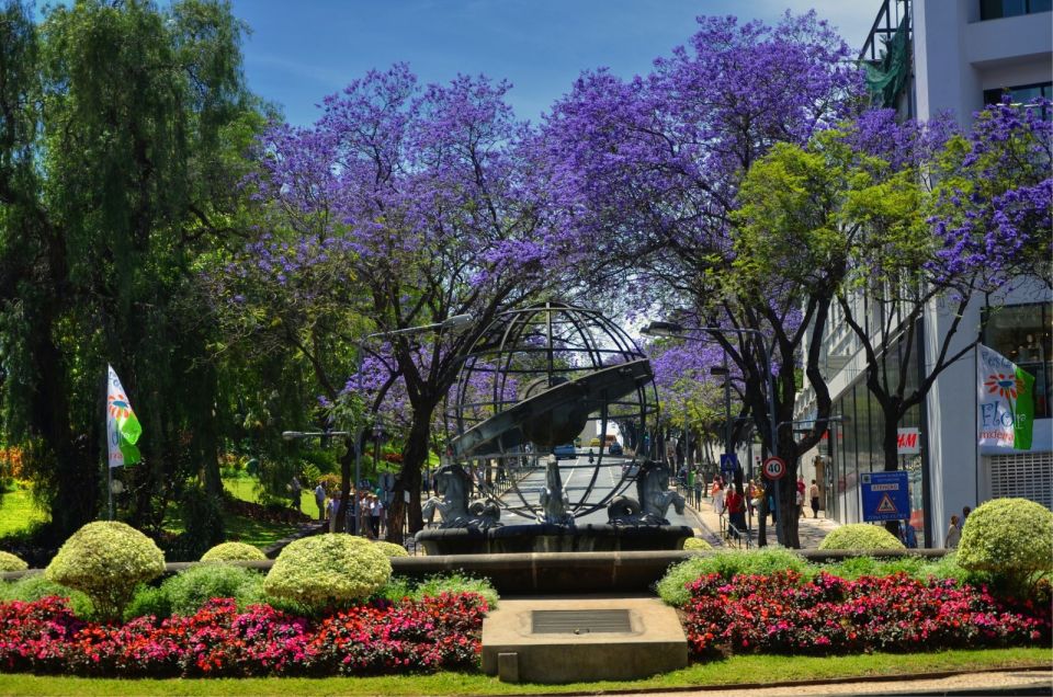 Madeira: Customized 3, 4 or 6-Hour Tour - Monte Palace Tropical Garden: Where the Pace Slightly Slows Down