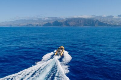 Madeira Dolphin & Whale Watching Tour - Cruising the Coast in a RIB: Views You Can Actually Feel