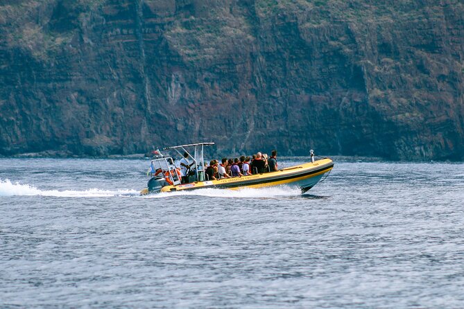 Madeira Dolphin & Whale Watching Tour - Timing Reality: About 2.5 Hours, With Real-World Variations