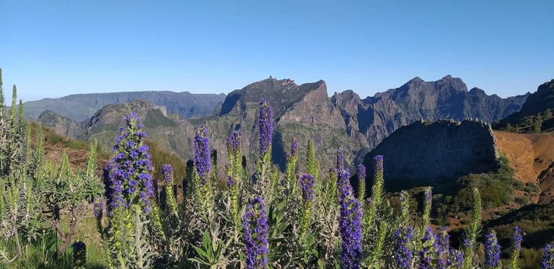Madeira East Island Tour and Levada Walk - Key highlights you will actually feel