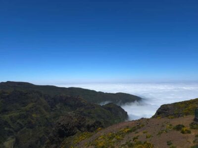 Madeira: East Island Tour with Rum Tasting - Pickup to van ride: the small-group advantage you can feel