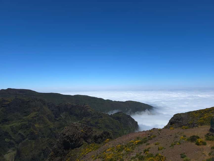 Madeira: East Island Tour with Rum Tasting - Pickup to van ride: the small-group advantage you can feel