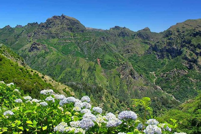 Madeira East Tour from Funchal - Ponta de São Lourenço: rocks, sea, and a short but satisfying stare