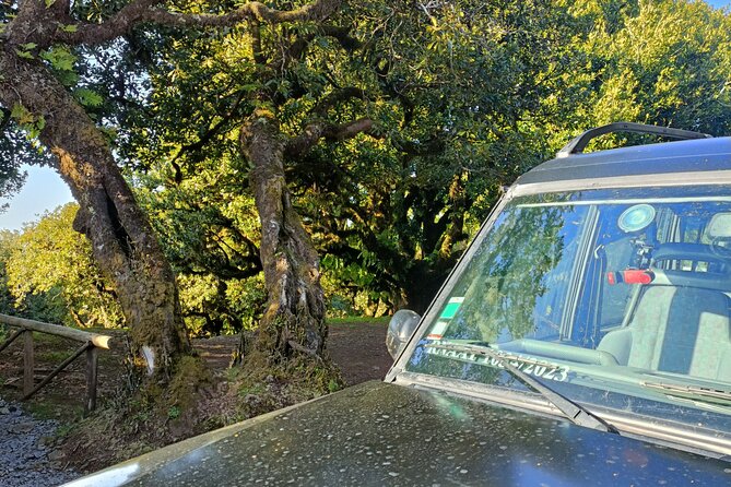 Madeira: Experiência 4WD Skywalk para Seixal Porto Moniz, Fanal - Porto Moniz natural swimming pools: your long break, and why crowds matter
