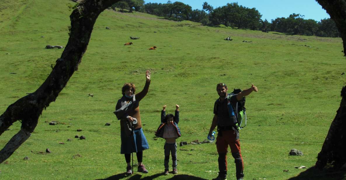 Madeira: Fanal Forest Guided Hiking Tour - Getting There: Hotel Pickup and a Volcanic Scenic Drive
