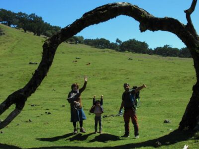 Madeira: Fanal Forest Guided Hiking Tour - Entering Fanal Forest: A Guided Walk Among Centennial Trees