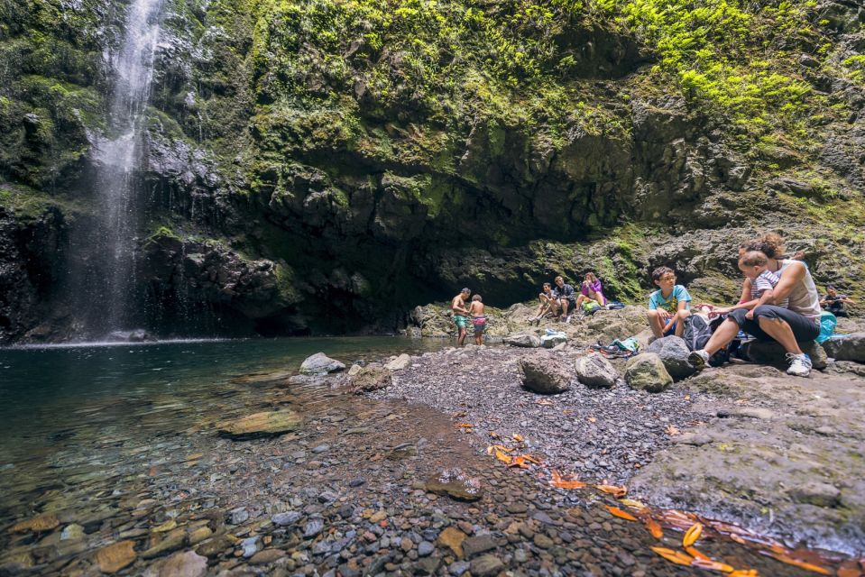 Madeira: Full-Day Laurel Forest Guided Walking Tour - From Funchal pickup to Queimadas Park: how the day actually starts