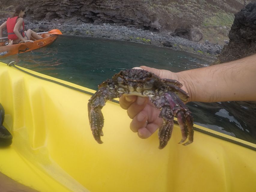 Madeira: Garajau Nature Reserve Kayak and Snorkel Tour - What to Pack: small choices that prevent big annoyances