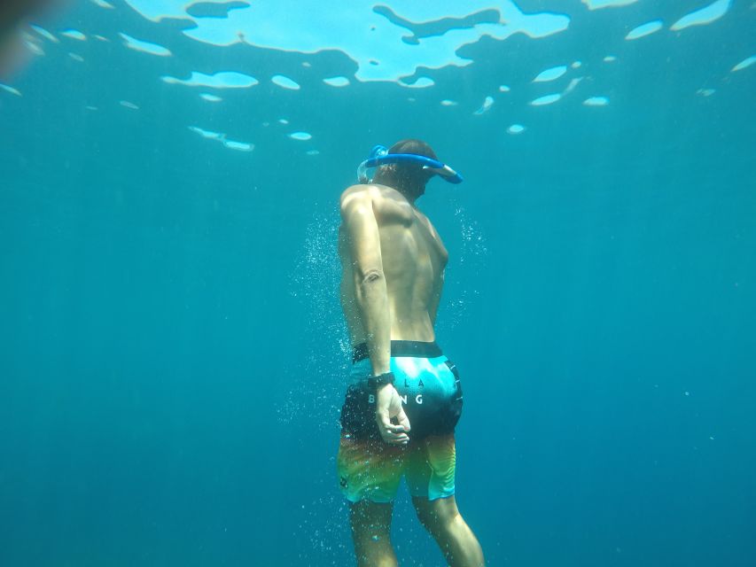 Madeira: Garajau Nature Reserve Kayak and Snorkel Tour - From Cristiano Ronaldo Statue to Garajau: timing that matters