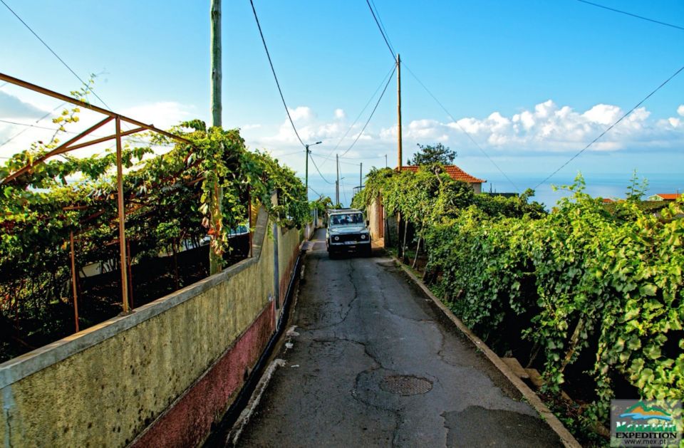 Madeira: Half-Day Nun's Valley and Sea Cliff Tour - Quick hits: Nun’s Valley + sea cliffs in one half-day