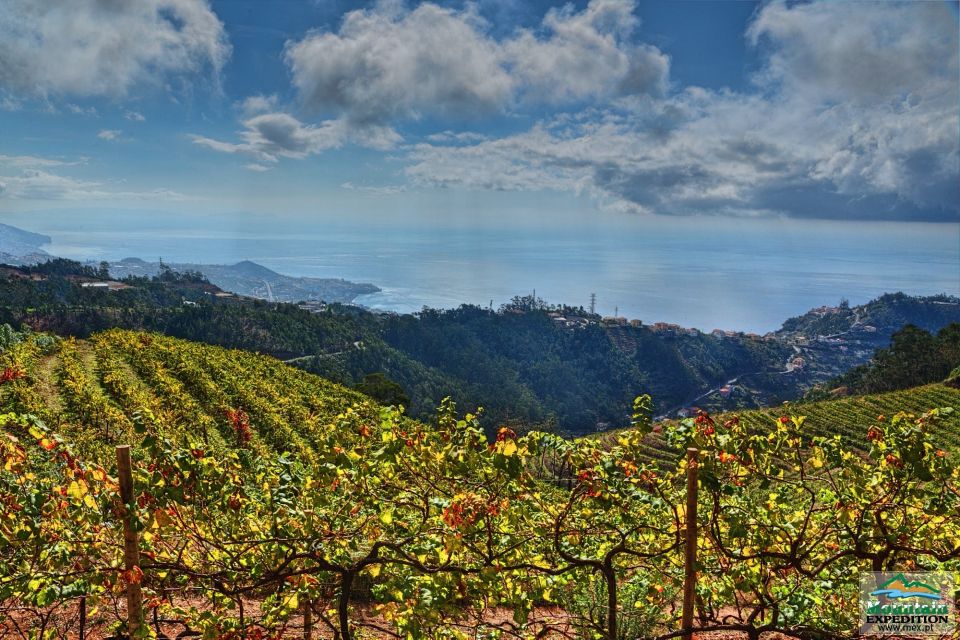Madeira: Half-Day Nun's Valley and Sea Cliff Tour - Off-road adventure reality check: who it suits best