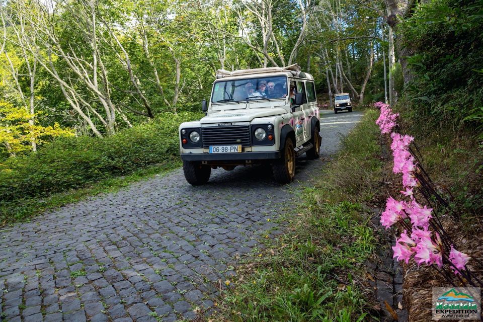 Madeira: Half-Day Nun's Valley and Sea Cliff Tour - Entering Madeira’s high-and-low maze from Funchal
