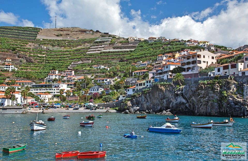 Madeira: Half-Day Nun's Valley and Sea Cliff Tour - The local bar stop: coffee, spirits, and a quick workshop