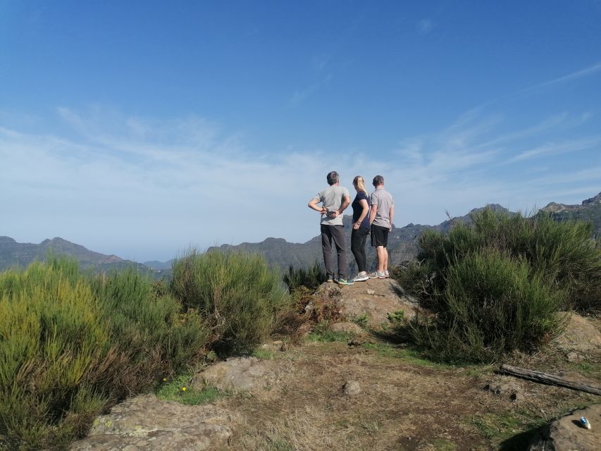 Madeira: Half-Day Off-Road Buggy Tour - Weather reality: rain or shine, but don’t ignore warnings