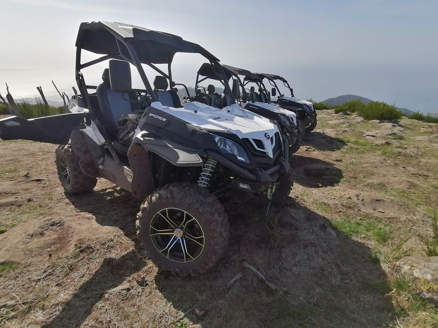 Madeira: Half-Day Off-Road Buggy Tour - Birds of prey sightings: learning what you’re looking at