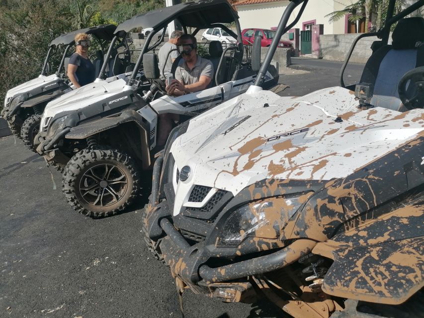 Madeira: Half-Day Off-Road Buggy Tour - Poncha, coffee breaks, and the local taste stops