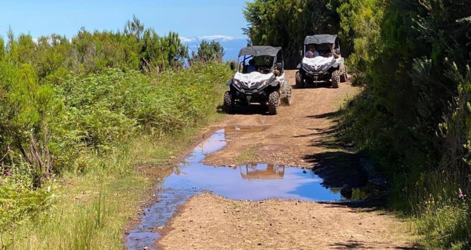Madeira: Half-Day Off-Road Buggy Tour - What to wear so mud and dust don’t ruin your day
