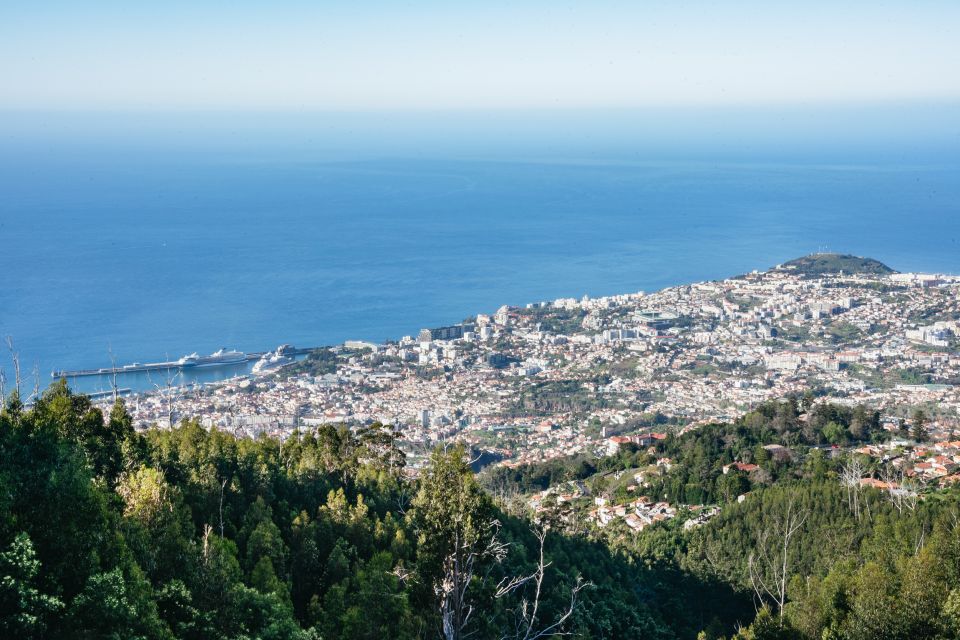Madeira: Half-Day Pico Areeiro Jeep Tour - Off-Road Time: Laurissilva Forest and the UNESCO factor