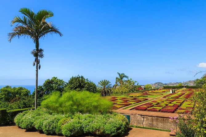 Madeira Highlights: Toboggan, Garden & Cable Car (All-Inclusive) - Key highlights worth planning around