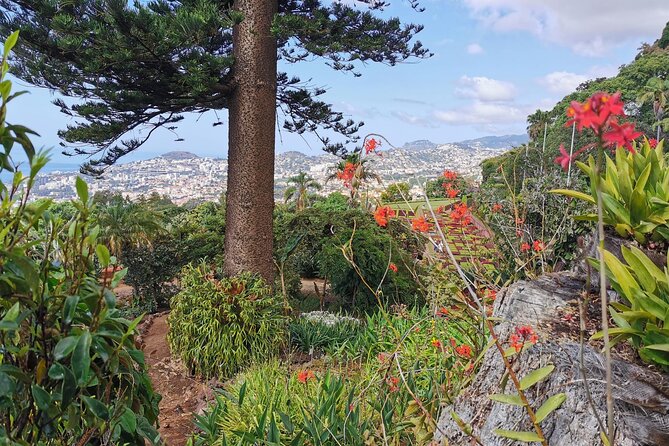 Madeira Highlights: Toboggan, Garden & Cable Car (All-Inclusive) - How Much Time You’ll Actually Spend (3 to 4 Hours)
