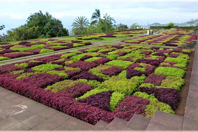 Madeira Highlights: Toboggan, Garden & Cable Car (All-Inclusive) - Weather and Real-World Considerations on Madeira