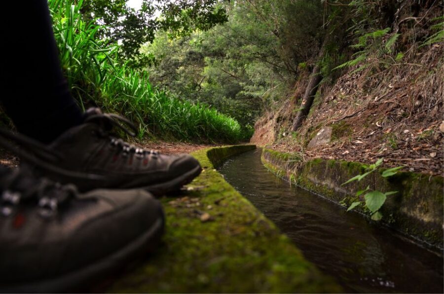 Madeira Island: Caldeirão Verde Levada Walk - What makes this levada hike stand out