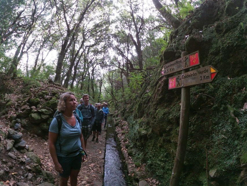Madeira Island: Caldeirão Verde Levada Walk - The levada walk itself: 13 km of shade, rock, and bird-and-plant detail