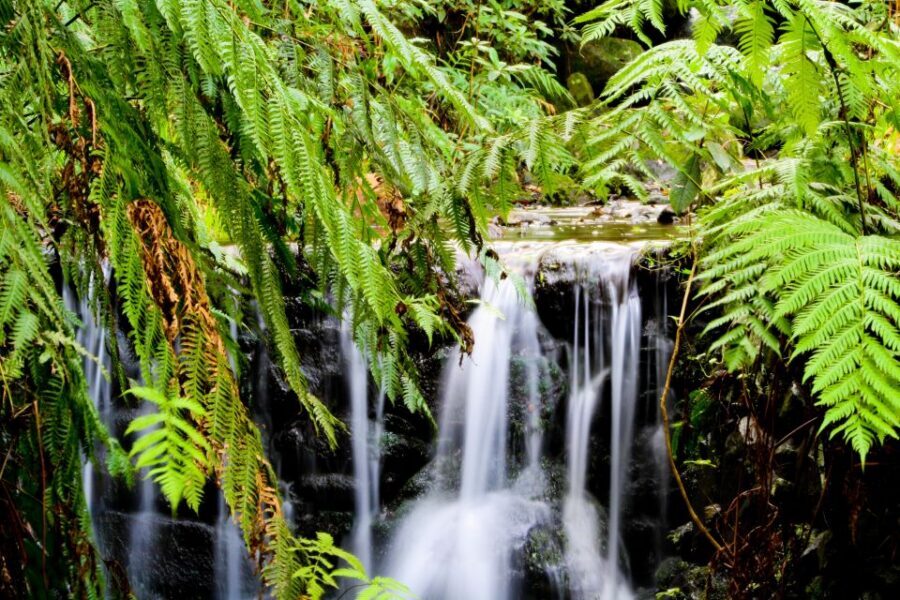 Madeira Island: Caldeirão Verde Levada Walk - Timing and pace: how the full 7 hours actually feel