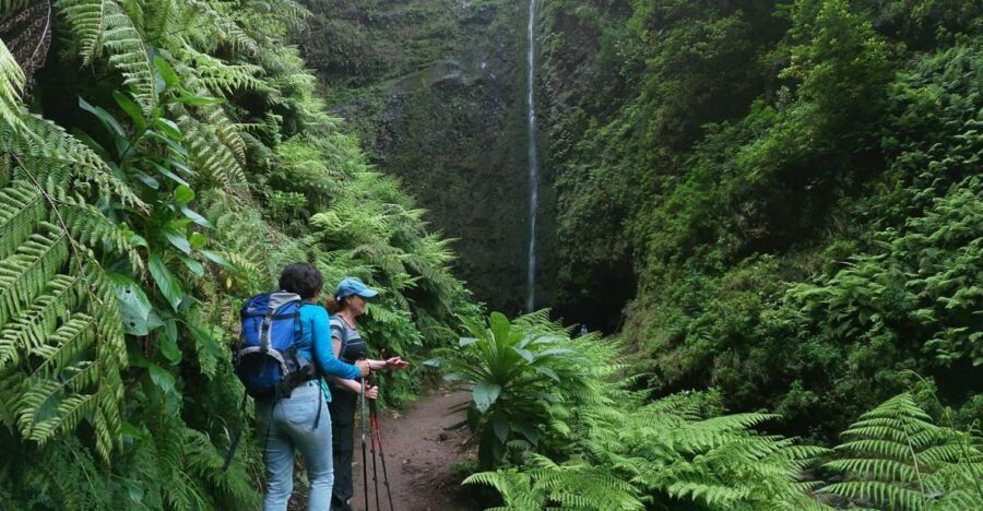 Madeira Island: Caldeirão Verde Levada Walk - Rain, tunnels, and footwear: the small choices that prevent a big day-ruiner