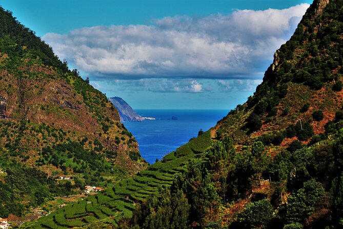 Madeira Island Private Wine Full-day Tour in all terrain vehicle - Why this 4x4 wine day makes sense on Madeira
