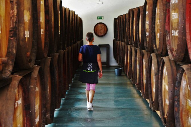 Madeira Island Private Wine Full-day Tour in all terrain vehicle - Stop 2: Quinta do Barbusano near São Vicente, where the wine story gets real