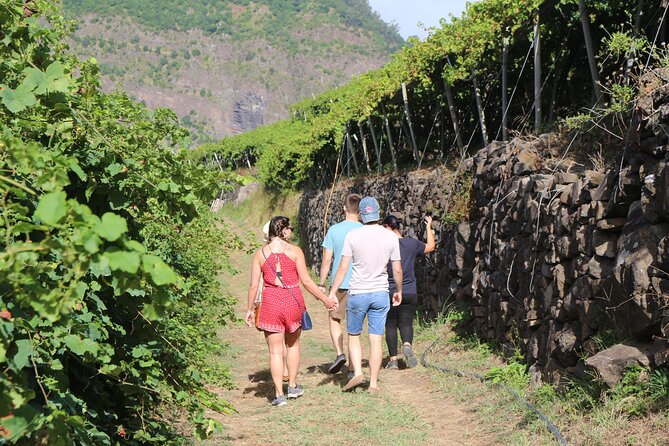 Madeira Island Private Wine Full-day Tour in all terrain vehicle - Stop 5: Estreito de Câmara de Lobos for old-road vineyard views