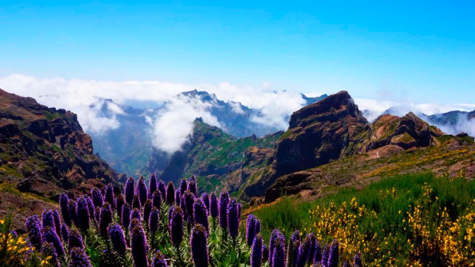 Madeira: Jeep tour Pico Areeiro, Santa Cruz and Cristo Rei - Miradouro Stops on the Way Up: Scenic Drive With Stops That Teach You Something