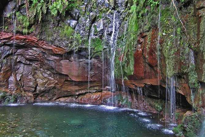 Madeira Levada Walk - Rabacal Lakes and Fountains - Key highlights to look for