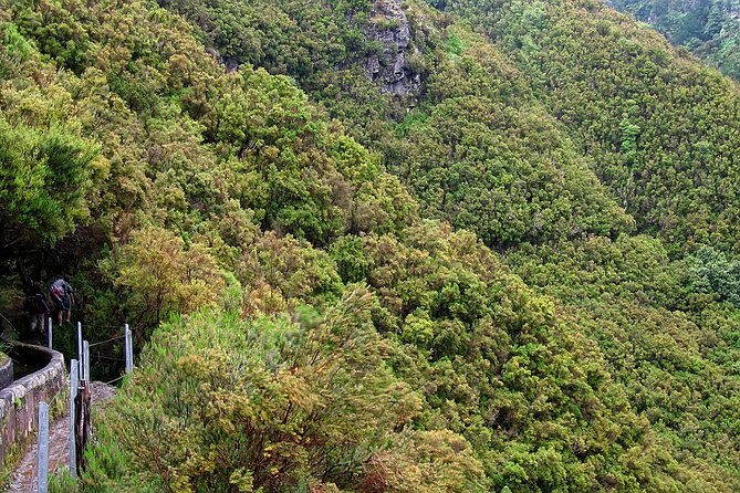 Madeira Levada Walk - Rabacal Lakes and Fountains - The day in real time: pickup from Funchal to the walk and back